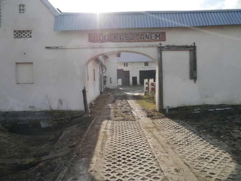 Pod Kasztanem Gospodarstwo Agroturystyczne Stronie Śląskie Εξωτερικό φωτογραφία